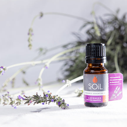 How To Use Essential Oils