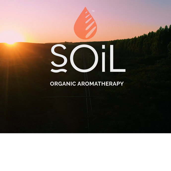 Happy 20th Birthday to SOiL!
