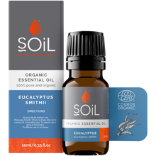 Organic Eucalyptus Essential Oil (Eucalyptus Smithii) 10ml