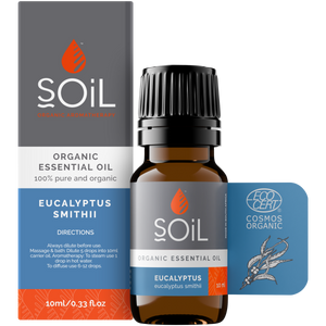 Organic Eucalyptus Essential Oil (Eucalyptus Smithii) 10ml