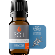 Organic Eucalyptus Essential Oil (Eucalyptus Smithii) 10ml