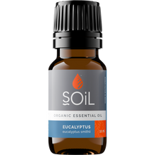 Organic Eucalyptus Essential Oil (Eucalyptus Smithii) 10ml
