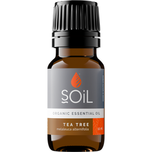 Organic Tea Tree Essential Oil (Melaleuca Alternifolia) 20ml