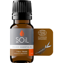 Organic Tea Tree Essential Oil (Melaleuca Alternifolia) 10ml