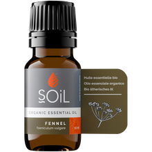 Organic Fennel Essential Oil (Foeniculum Vulgarus) 10ml
