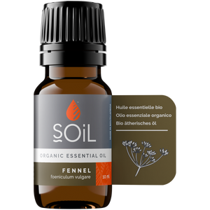 Organic Fennel Essential Oil (Foeniculum Vulgarus) 10ml