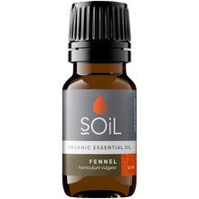 Organic Fennel Essential Oil (Foeniculum Vulgarus) 10ml