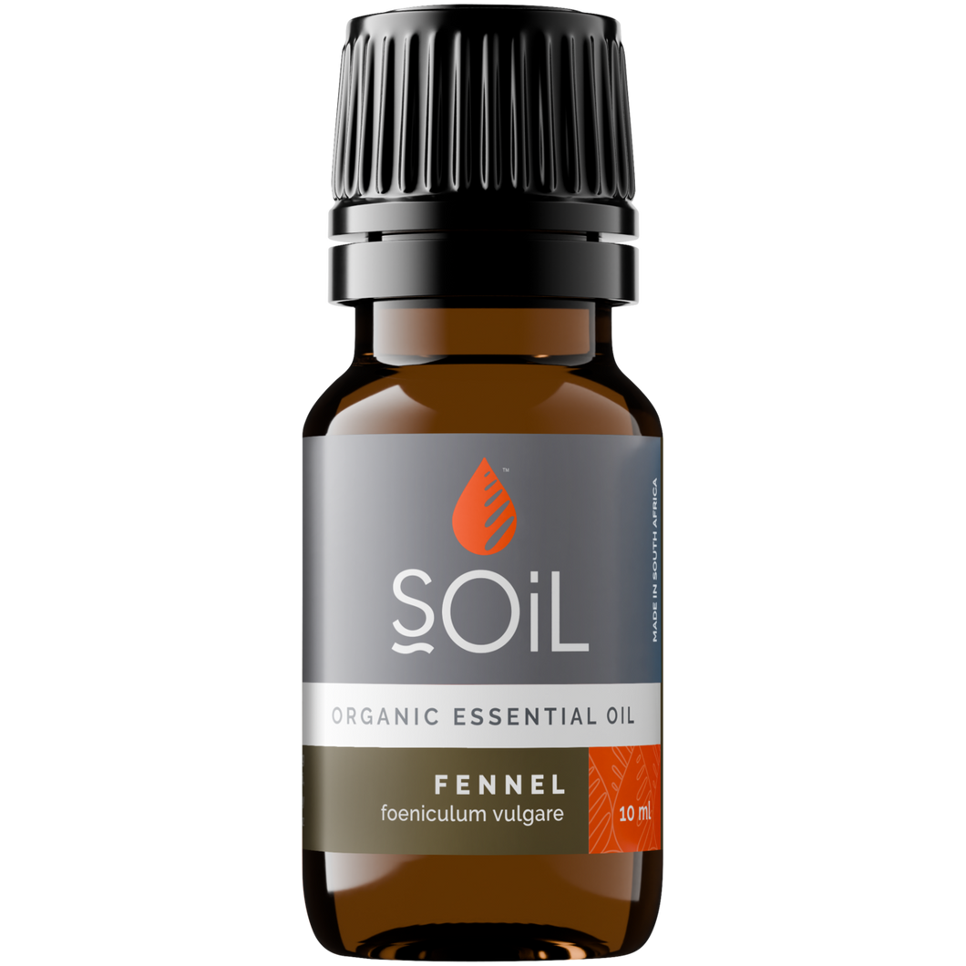 Organic Fennel Essential Oil (Foeniculum Vulgarus) 10ml