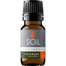 Organic Cedarwood Essential Oil (Cedrus Atlantica) 10ml