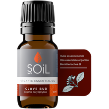 Organic Clove Bud Essential Oil (Eugenia Caryophillus) 20ml