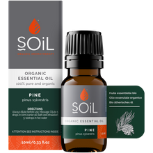 Organic Pine Essential Oil (Pinus Sylvestris) 10ml