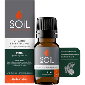 Organic Pine Essential Oil (Pinus Sylvestris) 10ml
