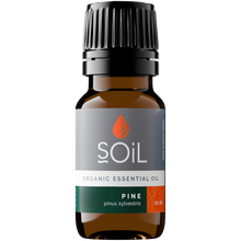 Organic Pine Essential Oil (Pinus Sylvestris) 10ml
