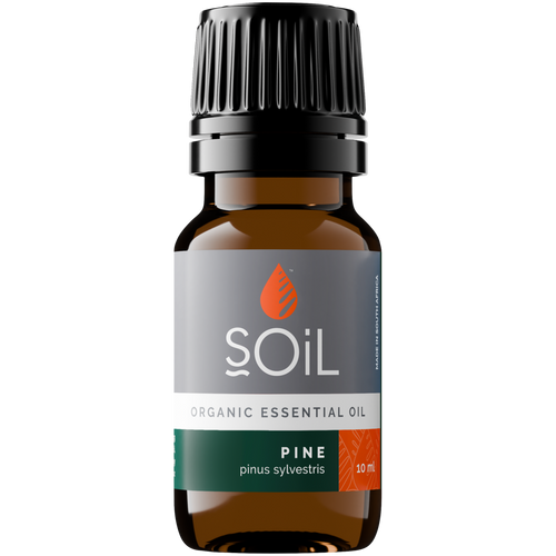 Organic Pine Essential Oil (Pinus Sylvestris) 10ml