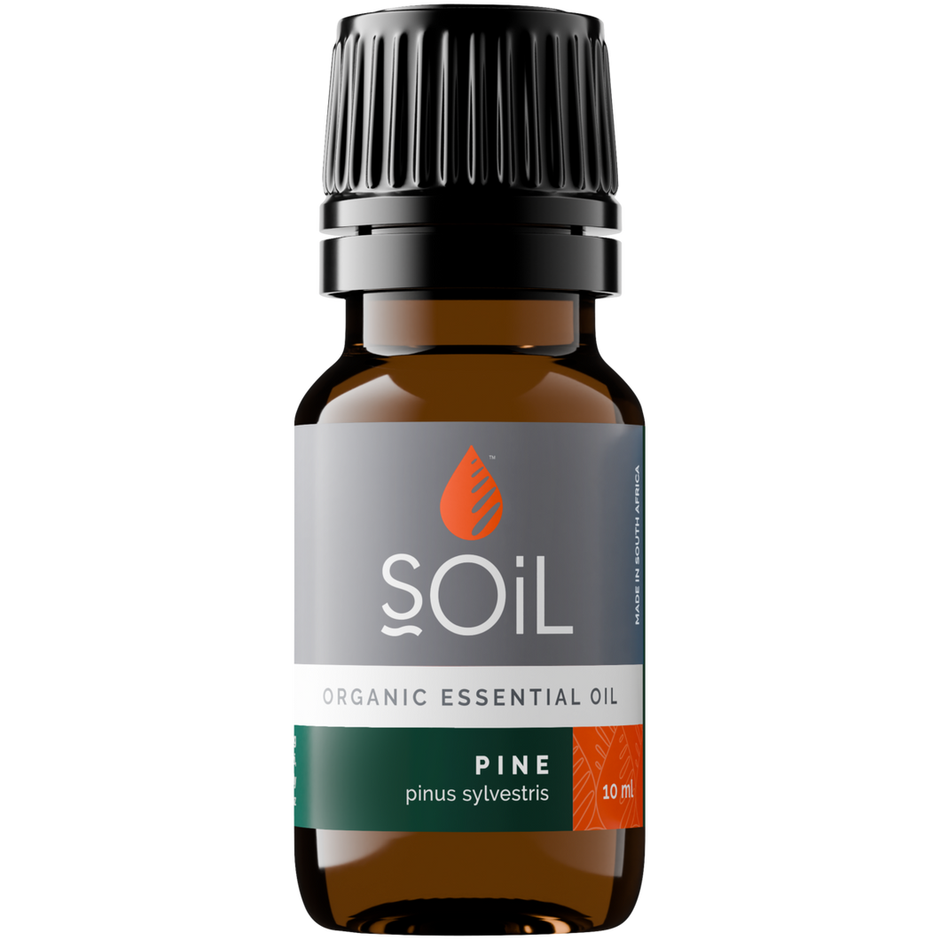 Organic Pine Essential Oil (Pinus Sylvestris) 10ml