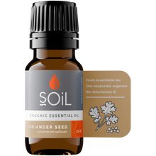Organic Coriander Seed Essential Oil (Coriandrum Sativum) 10ml