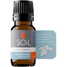 Organic Spearmint Essential Oil (Mentha Spicata) 10ml