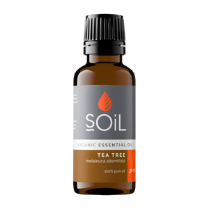 Organic Tea Tree Essential Oil (Melaleuca Alternifolia) 30ml