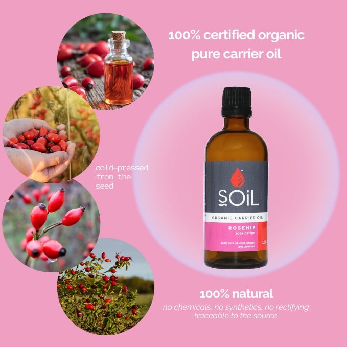 rosa canina seed oil for skin Organic Rosehip Oil (Rosa Canina) 30ml – SOiL Organic Aromatherapy and Skincare
