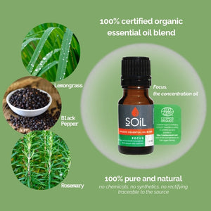 Focus - Organic Essential Oil Blend 20ml