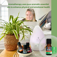 Focus - Organic Essential Oil Blend 20ml