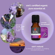 Organic Lavender Essential Oil (Lavandula Angustifolia) 10ml