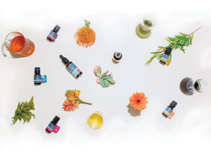 Organic Orange Essential Oil (Citrus Sinensis) 10ml