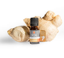 Organic Ginger Essential Oil (Zingiber Officinale) 10ml