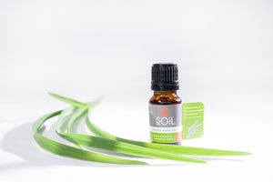 Organic Lemongrass Essential Oil (Cymbopogon Citratus) 10ml