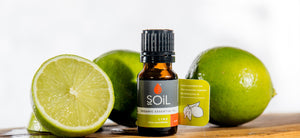 Organic Lime Essential Oil (Citrus Aurantifolia) 10ml