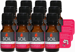 SAVE 50% - Organic Rose Geranium Essential Oil (Pelargoneum Graveolens) 120ml