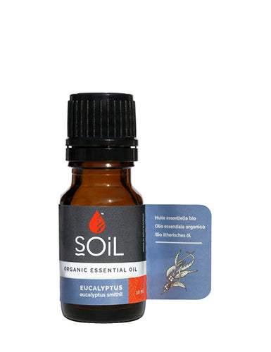 Organic Eucalyptus Essential Oil (Eucalyptus Smithii) 10ml