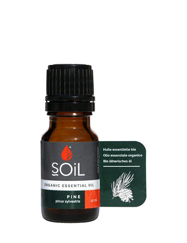 Organic Pine Essential Oil (Pinus Sylvestris) 10ml